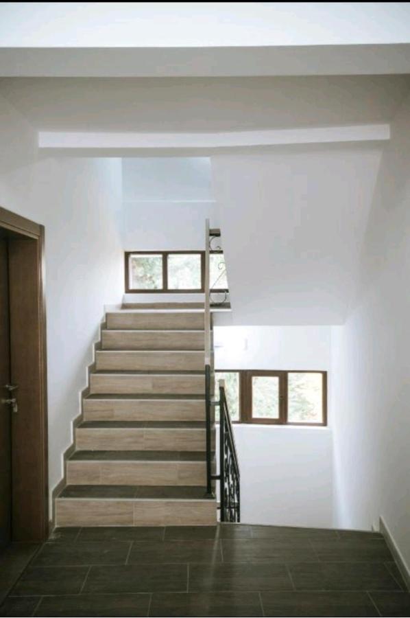 Apartman Alba Kopaonik Exterior photo